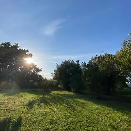 Climatise Dans Un Ancien Domaine Viticole Apartman