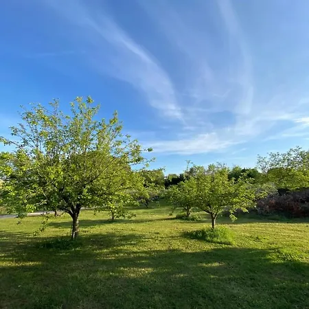 Climatise Dans Un Ancien Domaine Viticole * Montpellier