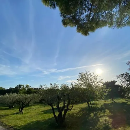 Climatise Dans Un Ancien Domaine Viticole شقة *